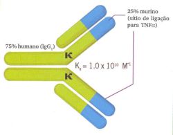 tnf infliximab 2